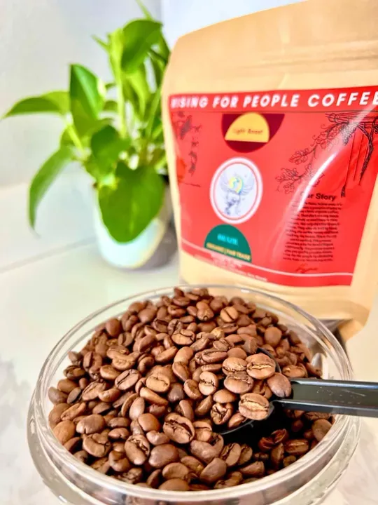 1 lb Brazil Santos (Whole Bean)